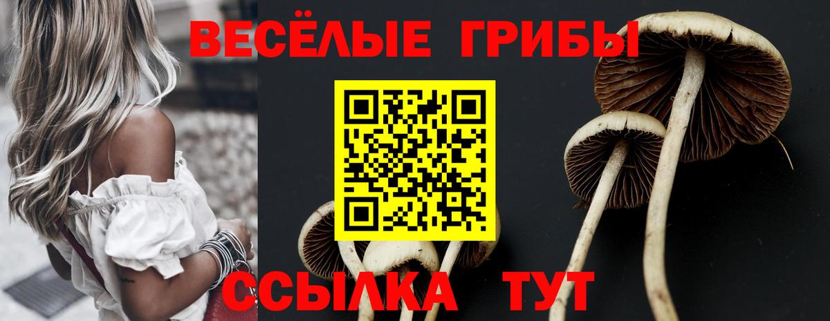 Галлюциногенные грибы Cubensis Миасс